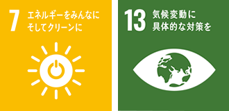 SDGs